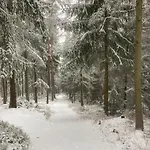 Auszeit Im Waldidyll Bad Elster