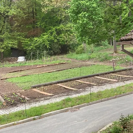Auszeit Im Waldidyll Ferienhaus