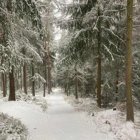 Familien Ferienhaus In Bad Elster Vogtland - Natur Pur Und Wellness Bad Elster