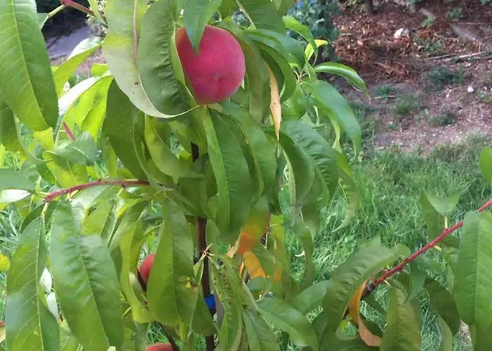 Auszeit Im Waldidyll Dom wakacyjny *