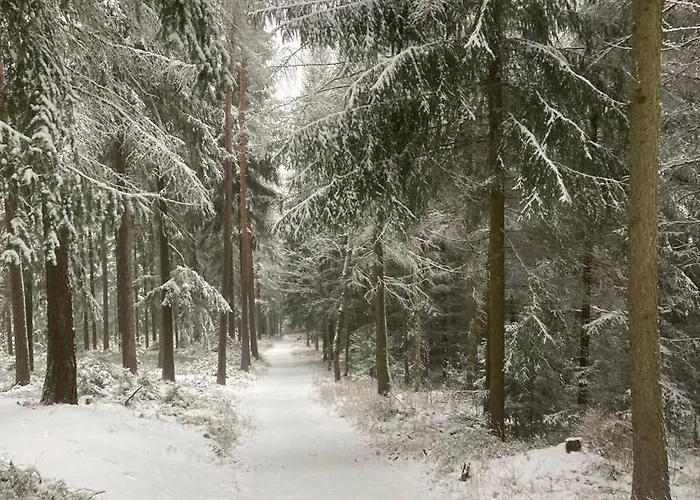 Auszeit Im Waldidyll Bad Elster