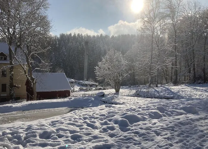 Auszeit Im Waldidyll *