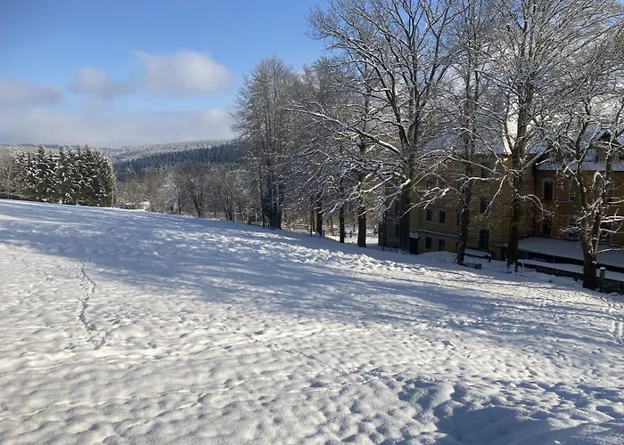 Auszeit Im Waldidyll Bad Elster