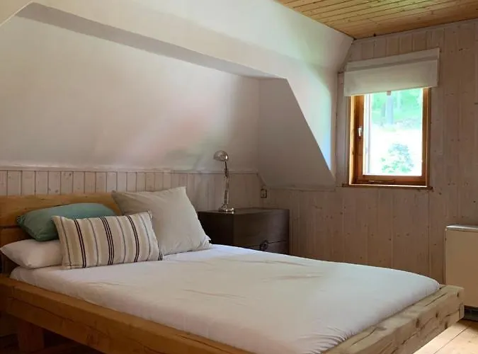 Auszeit Im Waldidyll Bad Elster